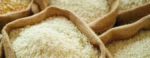 Reliable Rice Exporter in Malaysia for Long-Grain & Basmati